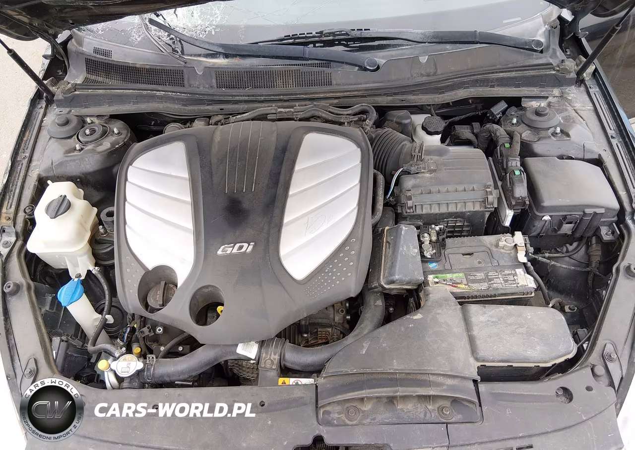 KIA CADENZA VIN:KNALN4D74E5161889 - 10