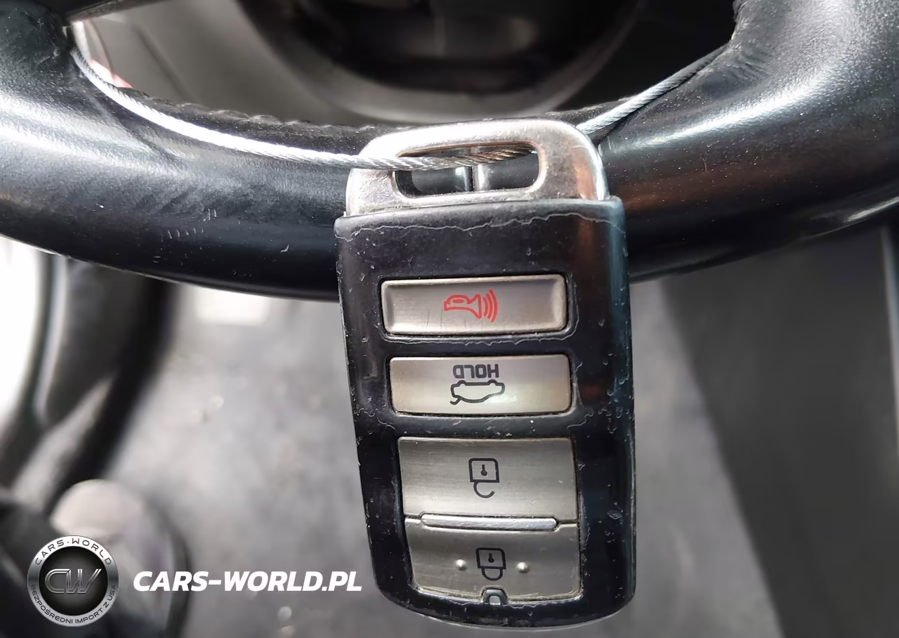 KIA CADENZA VIN:KNALN4D74E5161889 - 11