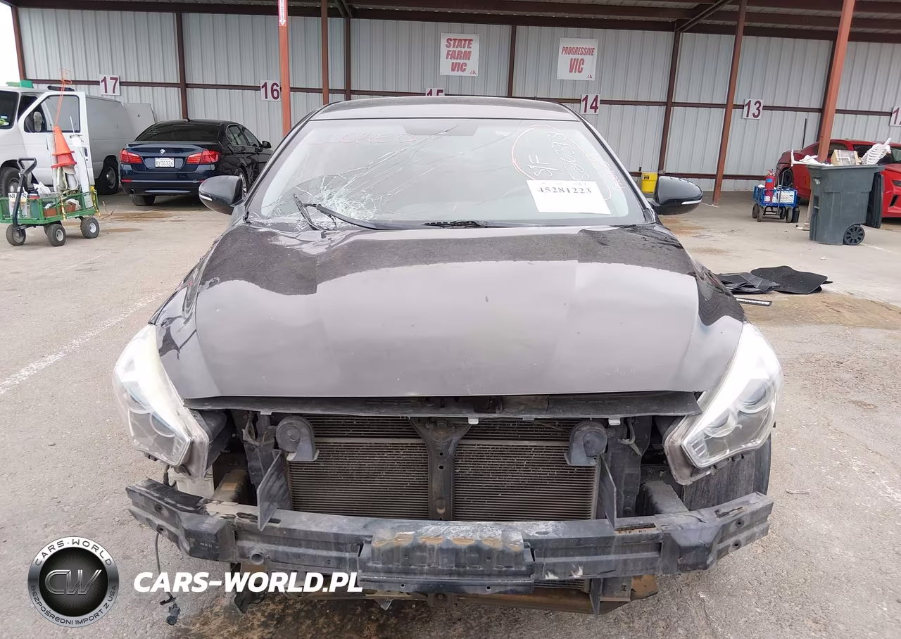KIA CADENZA VIN:KNALN4D74E5161889 - 12
