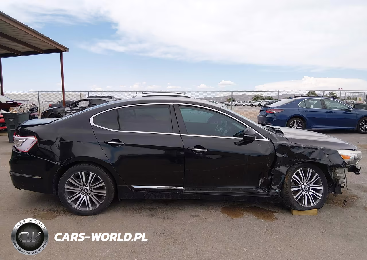 KIA CADENZA VIN:KNALN4D74E5161889 - 13