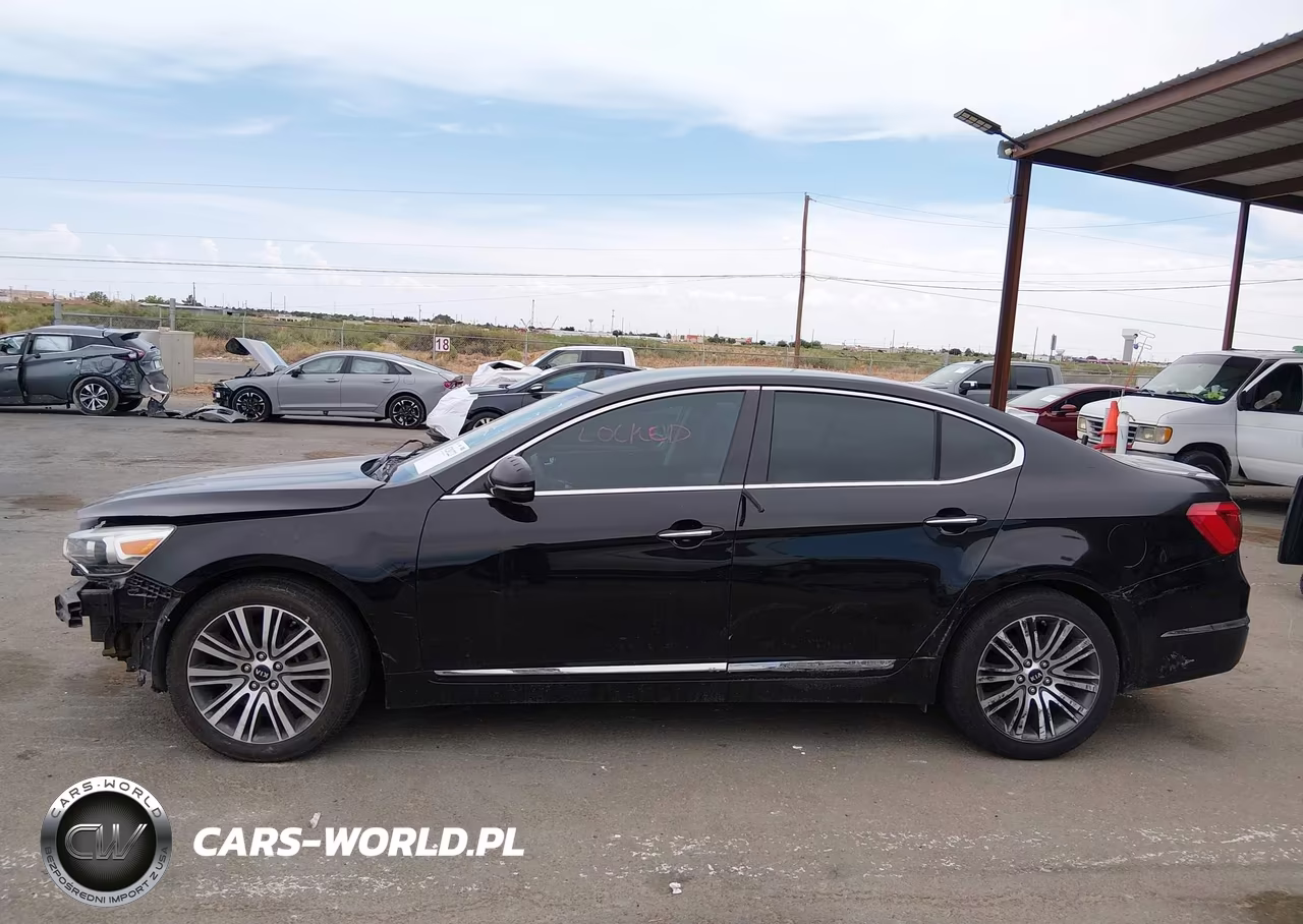 KIA CADENZA VIN:KNALN4D74E5161889 - 14