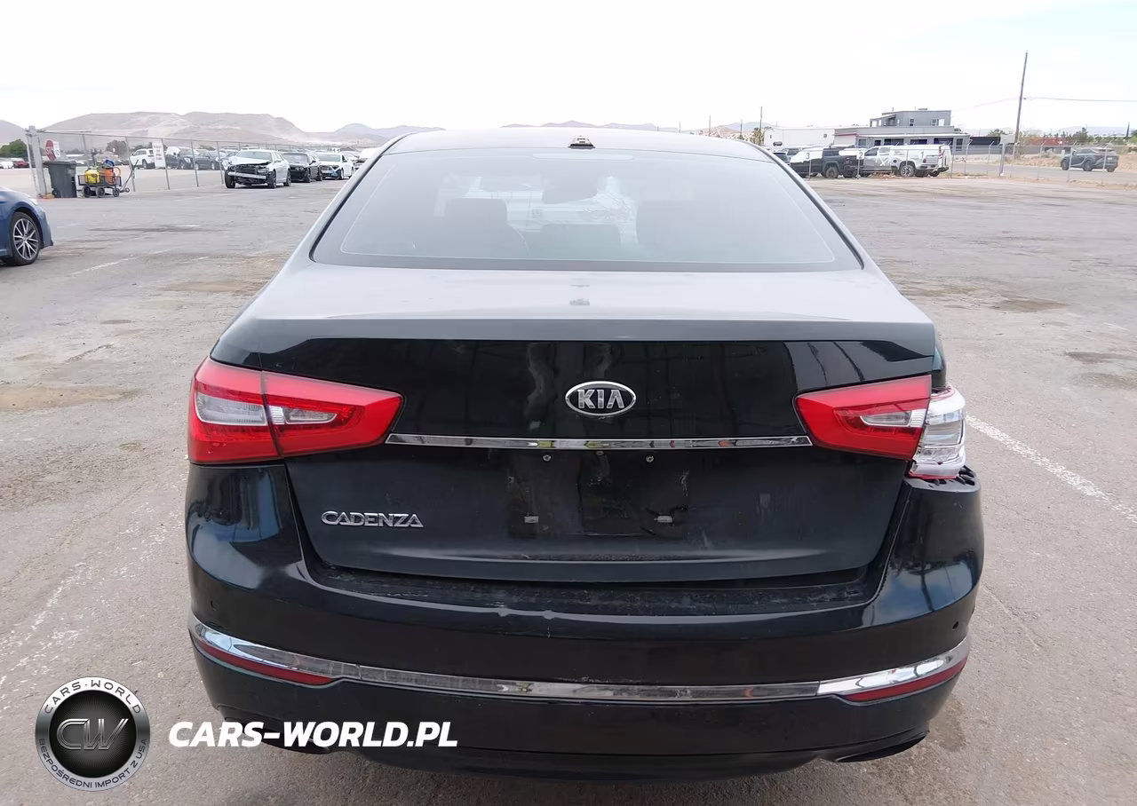 KIA CADENZA VIN:KNALN4D74E5161889 - 16