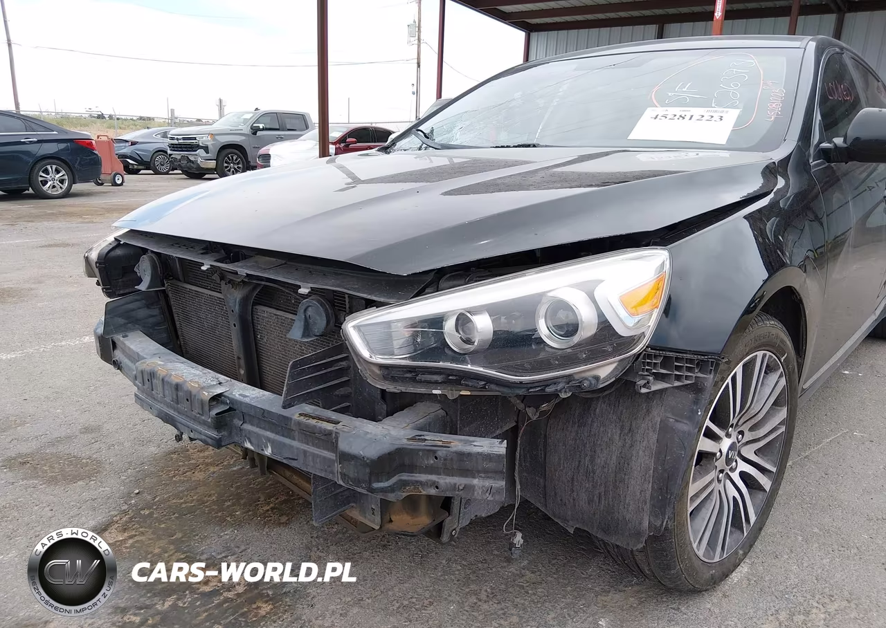 KIA CADENZA VIN:KNALN4D74E5161889 - 6