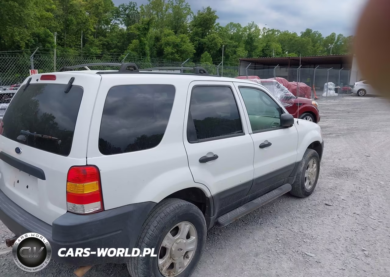 2004 Ford Escape Xlt VIN:1FMYU03174DA15939 - 4