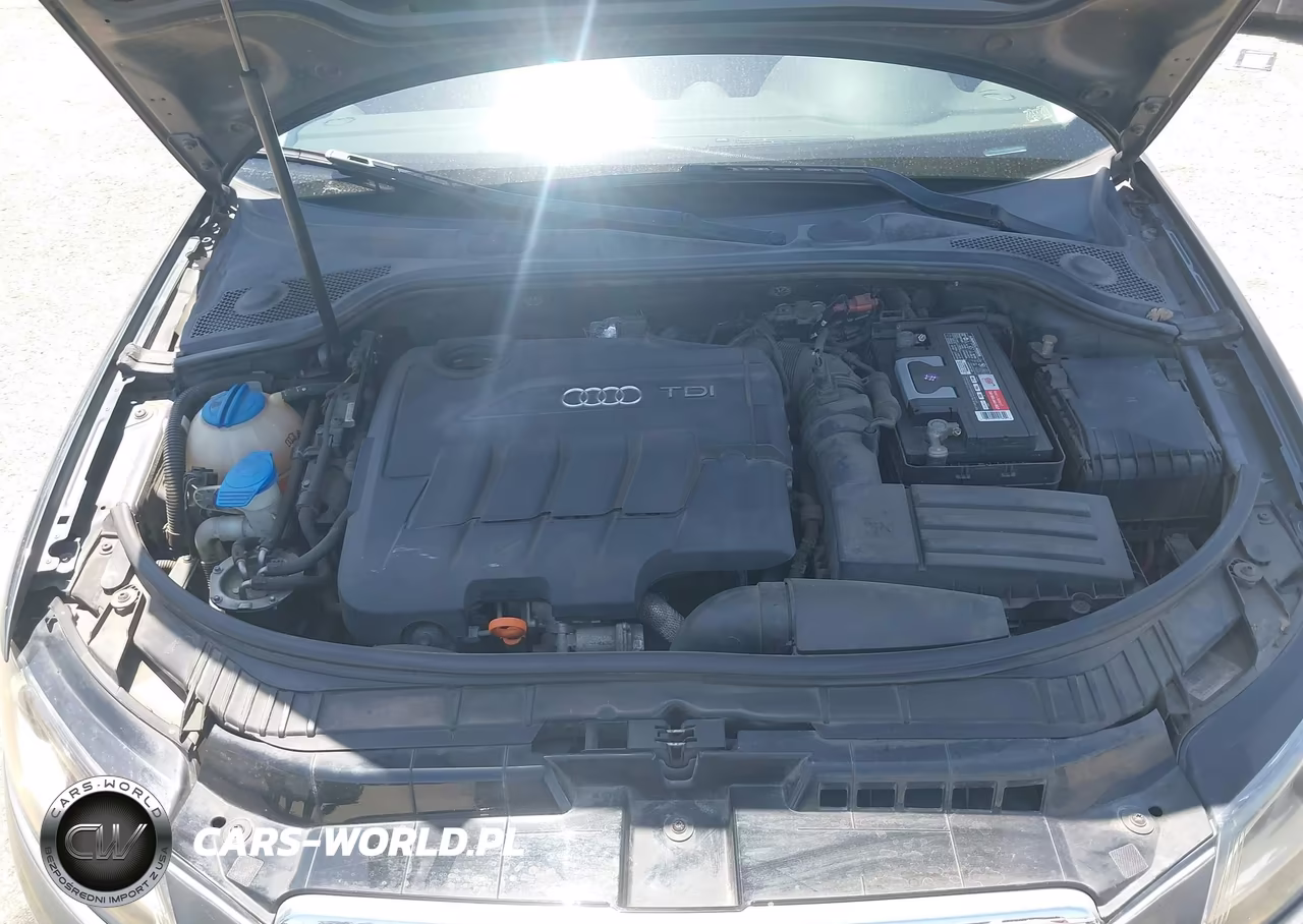 2012 Audi A3 2.0 Tdi Premium VIN:WAUKJAFM0CA124240 - 10