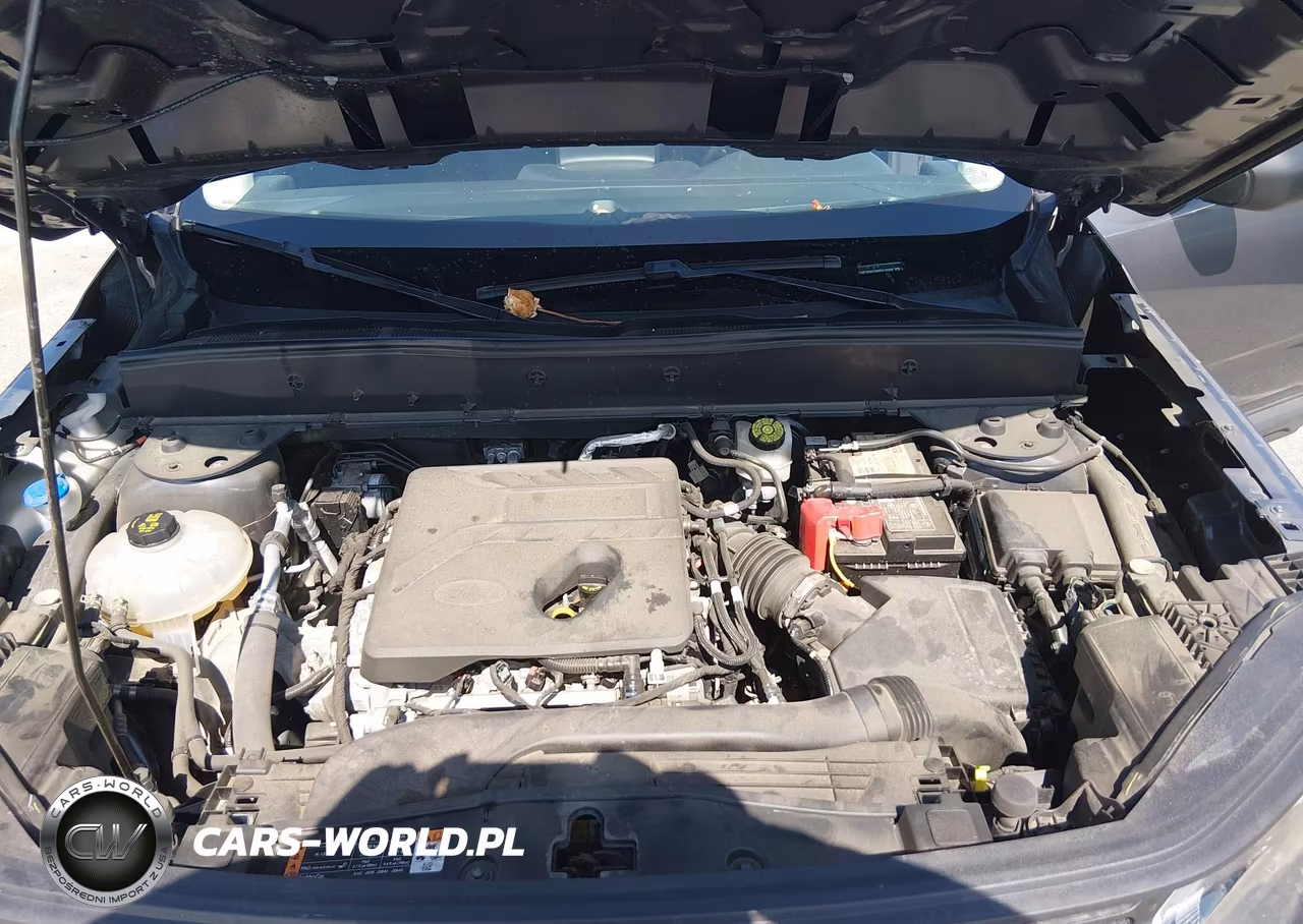 2021 Ford Bronco Sport VIN:3FMCR9A63MRA10596 - 10