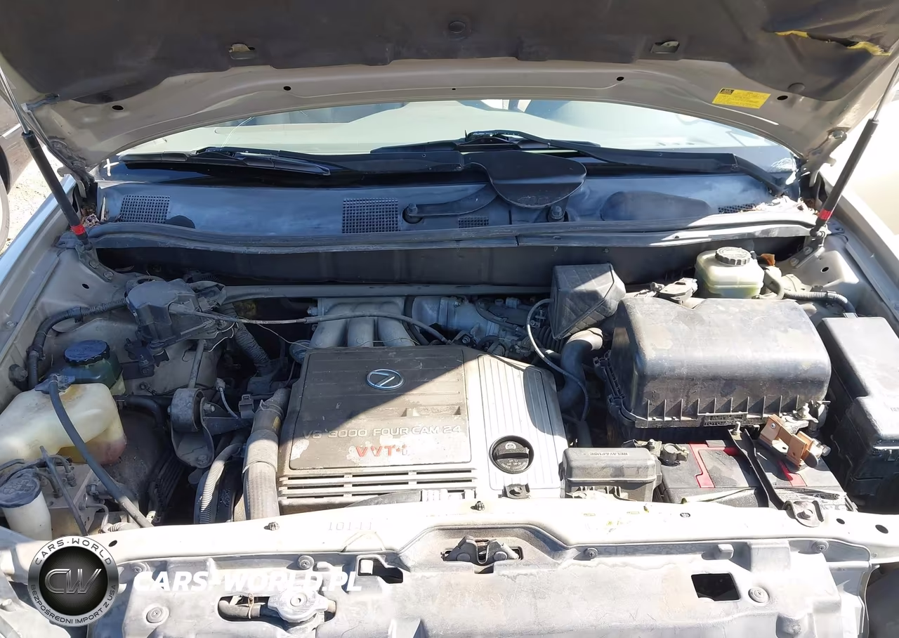 2002 Lexus Rx 300 VIN:JTJGF10U120126874 - 10