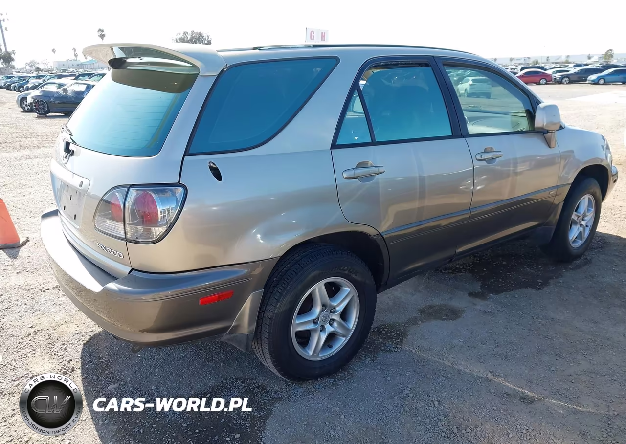 2002 Lexus Rx 300 VIN:JTJGF10U120126874 - 4
