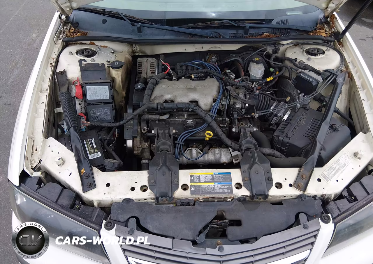 2005 Chevrolet Impala VIN:2G1WF52E459130321 - 10