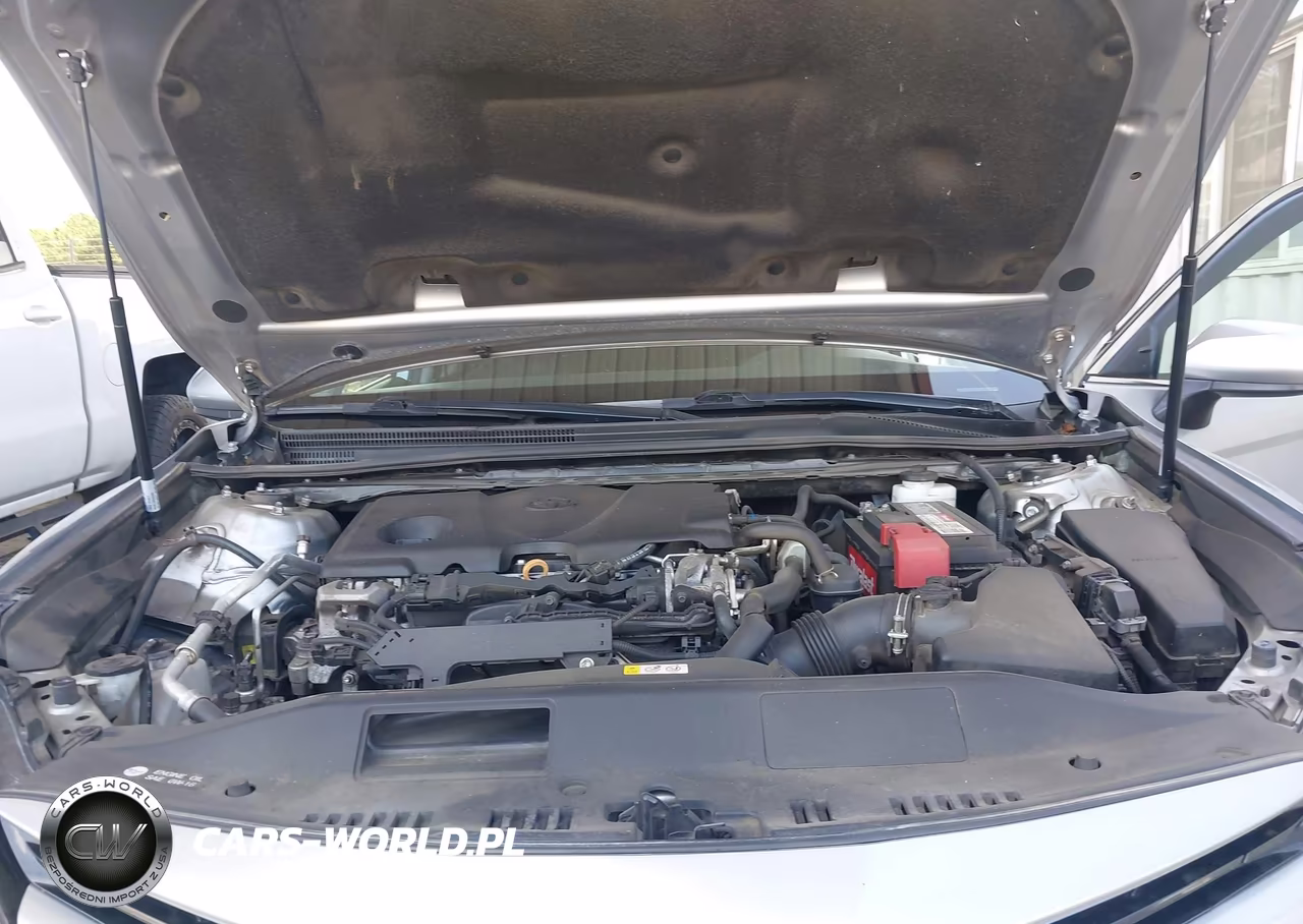 2019 Toyota Camry Le VIN:4T1B11HK4KU719843 - 10