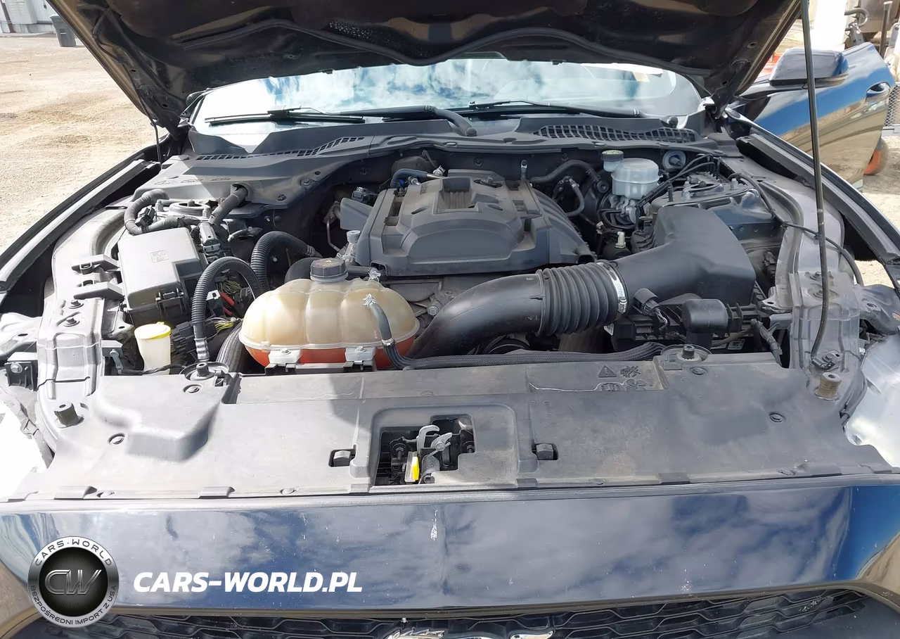 2018 Ford Mustang Ecoboost VIN:1FA6P8TH0J5110434 - 10
