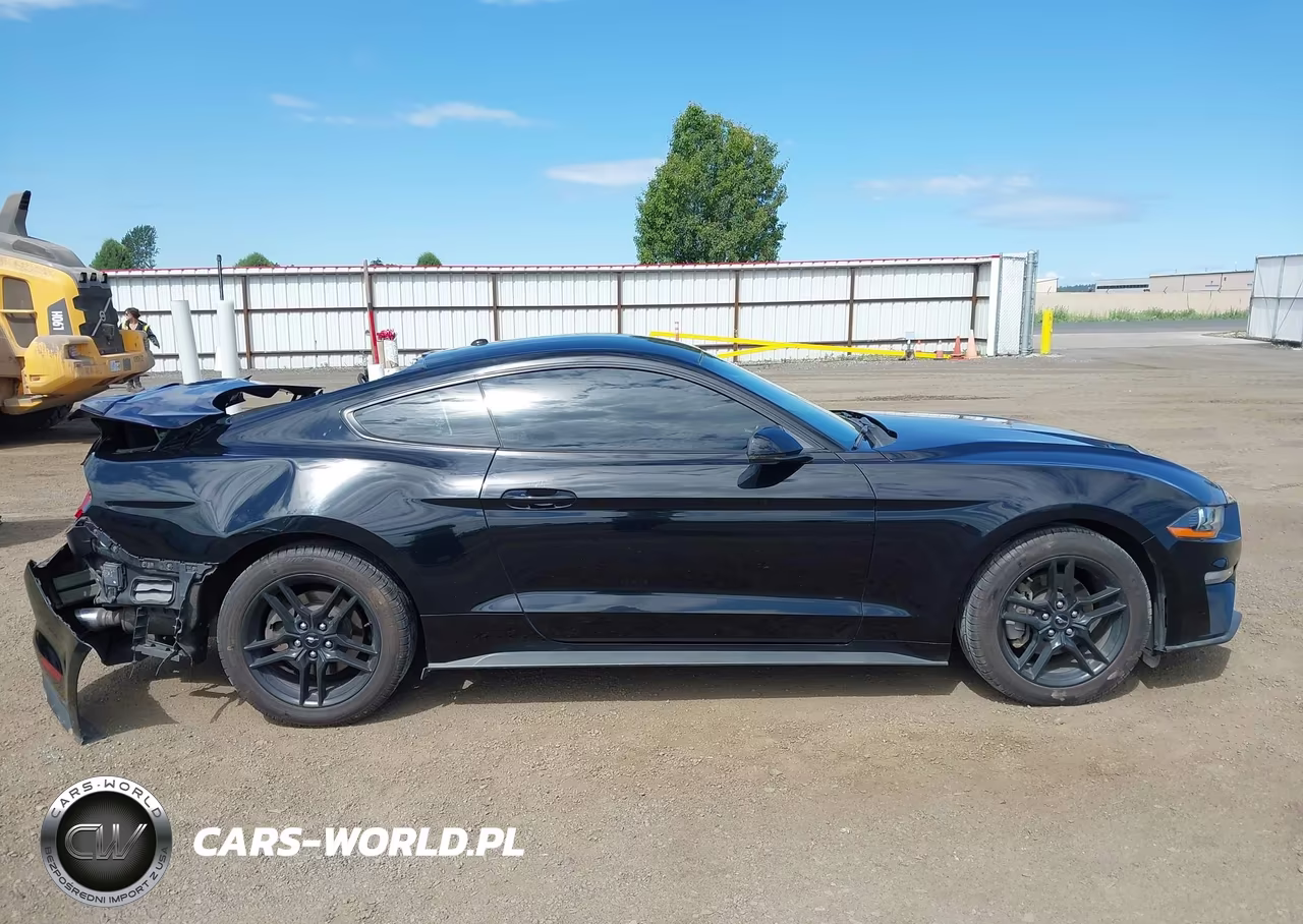 2018 Ford Mustang Ecoboost VIN:1FA6P8TH0J5110434 - 13