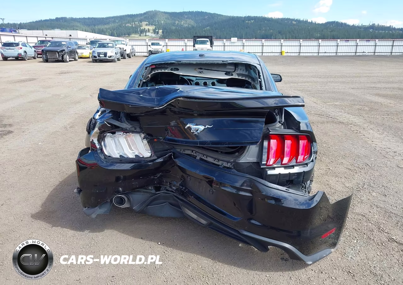 2018 Ford Mustang Ecoboost VIN:1FA6P8TH0J5110434 - 16
