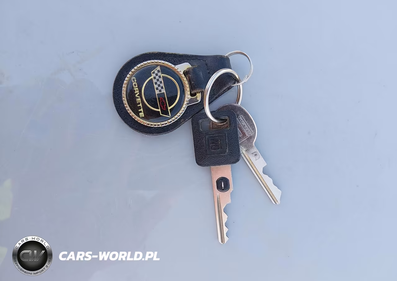 1987 Chevrolet Corvette VIN:1G1YY3189H5124096 - 11
