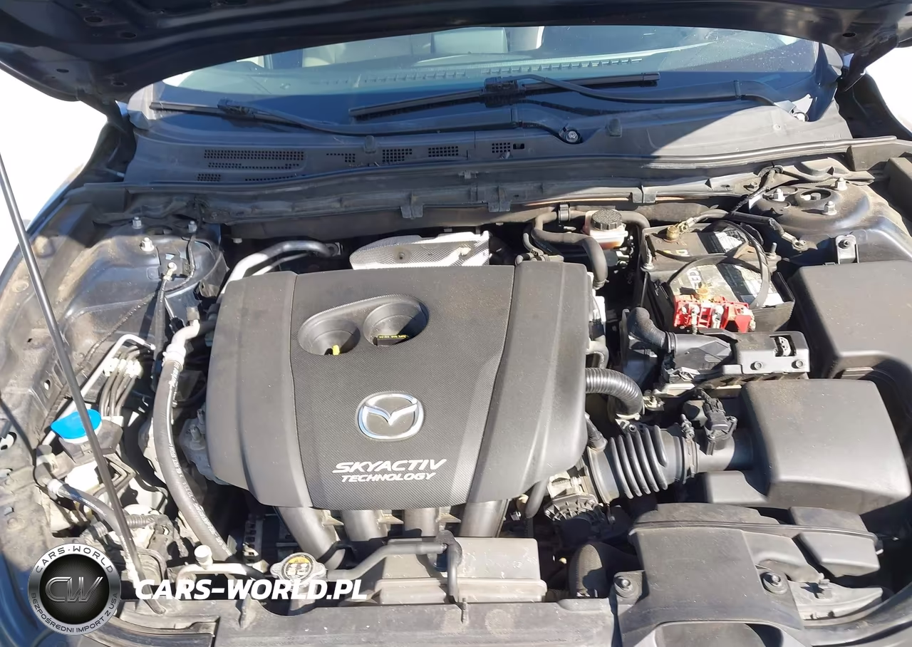 2014 Mazda Mazda3 I Sport VIN:JM1BM1U75E1118301 - 10