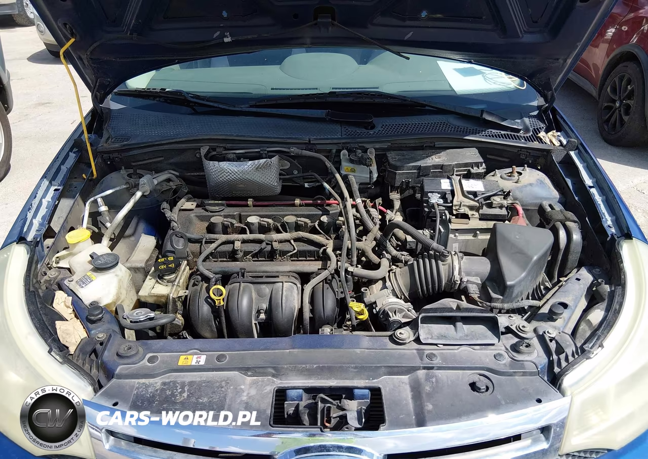 2009 Ford Focus S VIN:1FAHP34N99W134897 - 10
