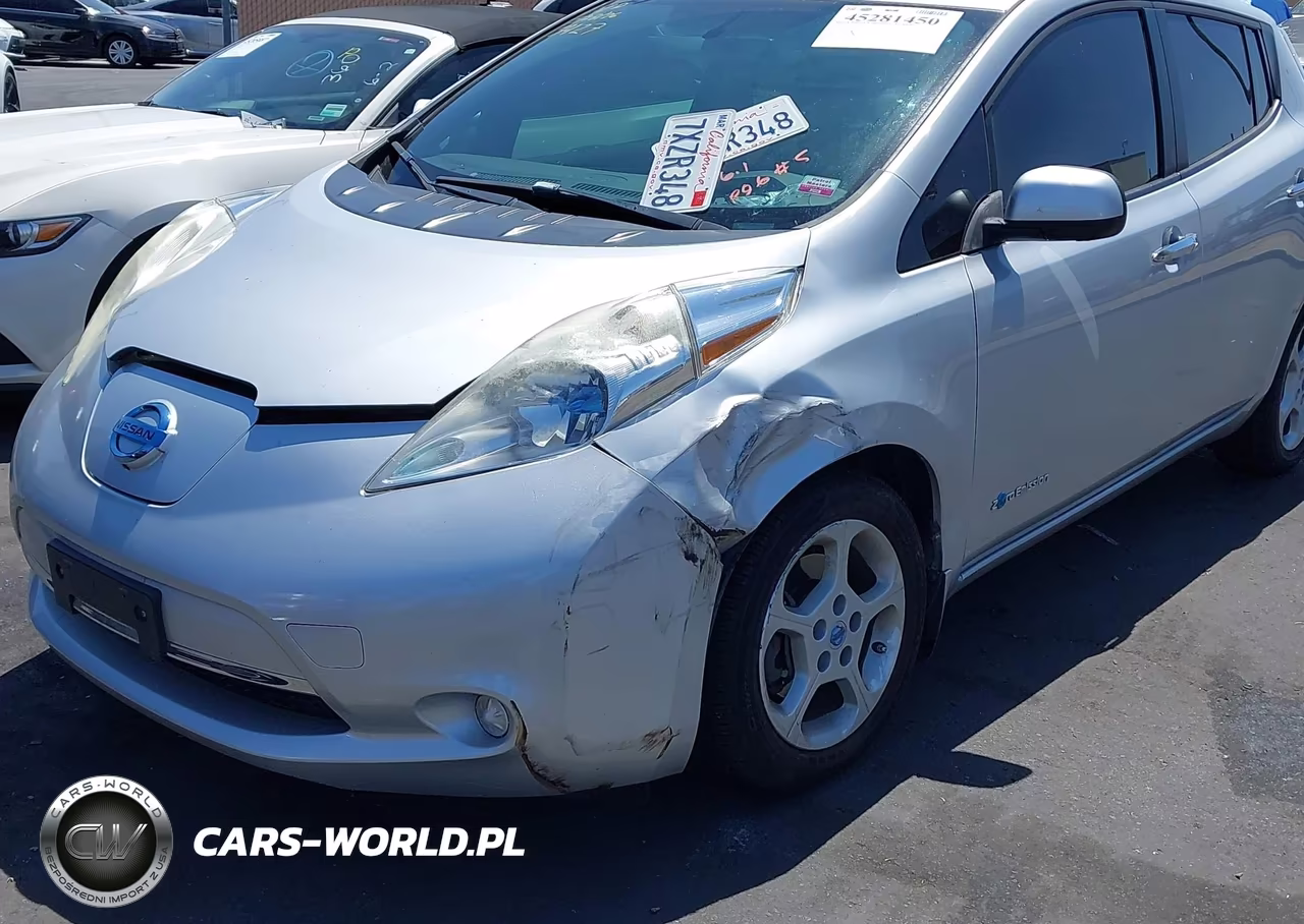 2013 Nissan Leaf Sv VIN:1N4AZ0CPXDC413427 - 12