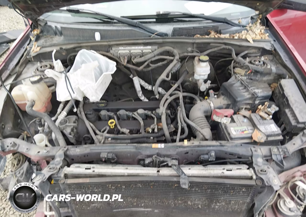 2011 Ford Escape Xlt VIN:1FMCU9D73BKC11418 - 10