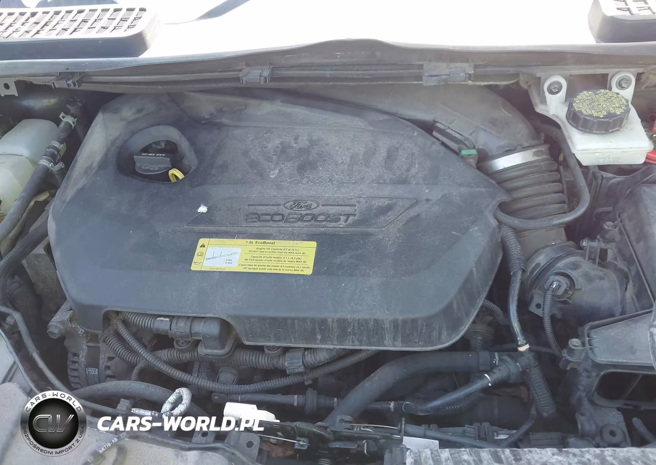 2014 Ford Escape Se VIN:1FMCU0GX4EUC27708 - 10
