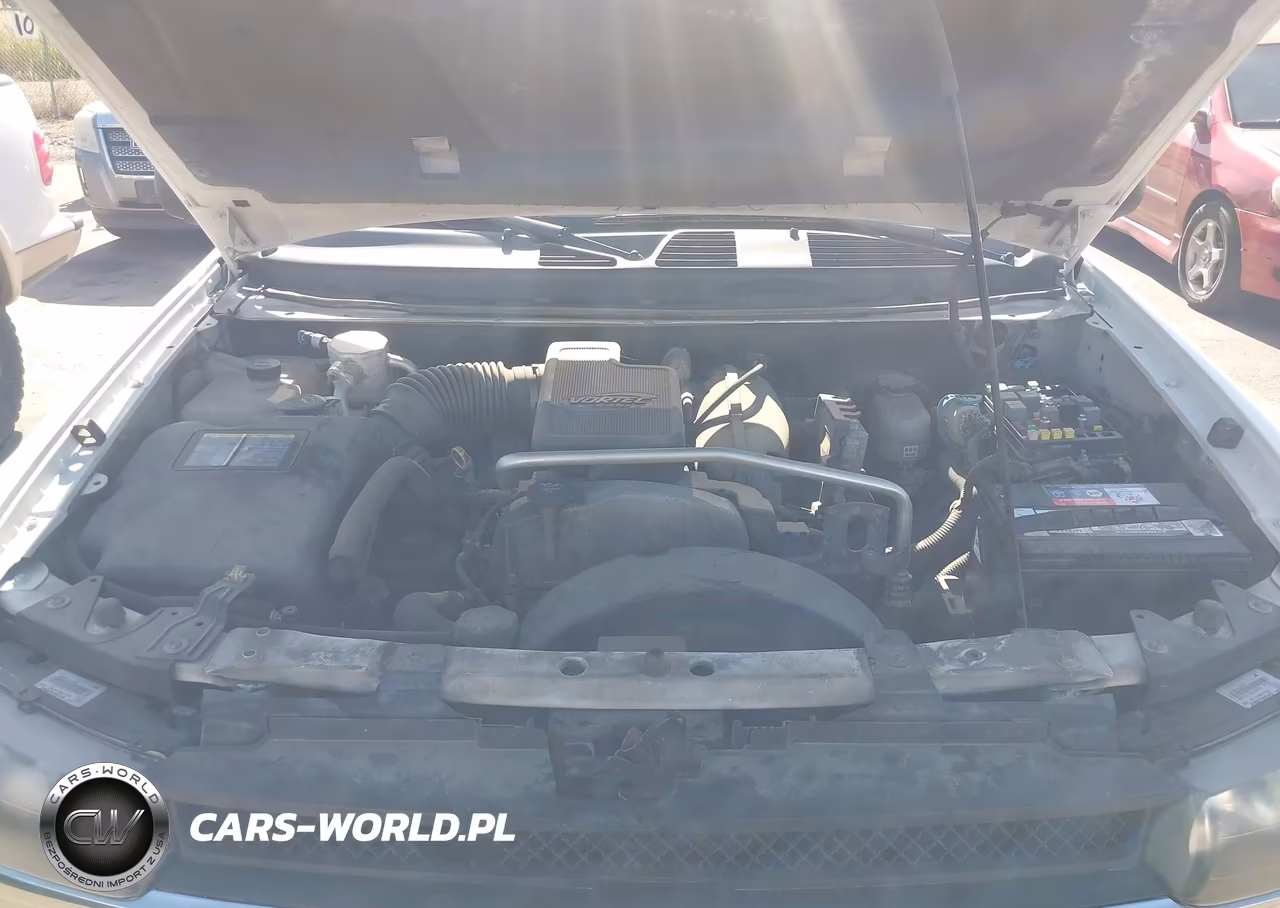 2008 Chevrolet Trailblazer Fleet VIN:1GNDT13S282236538 - 10