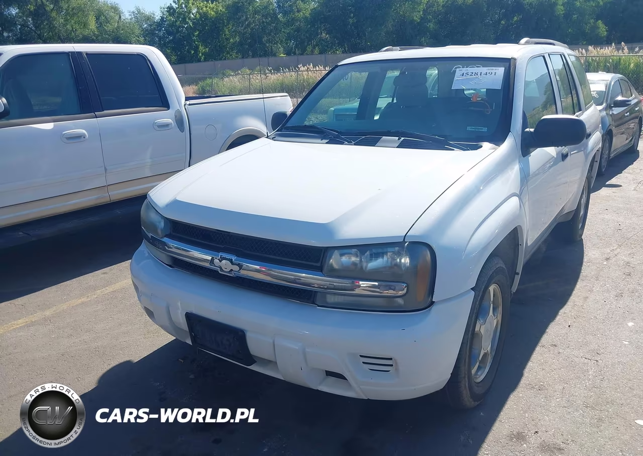 2008 Chevrolet Trailblazer Fleet VIN:1GNDT13S282236538 - 6