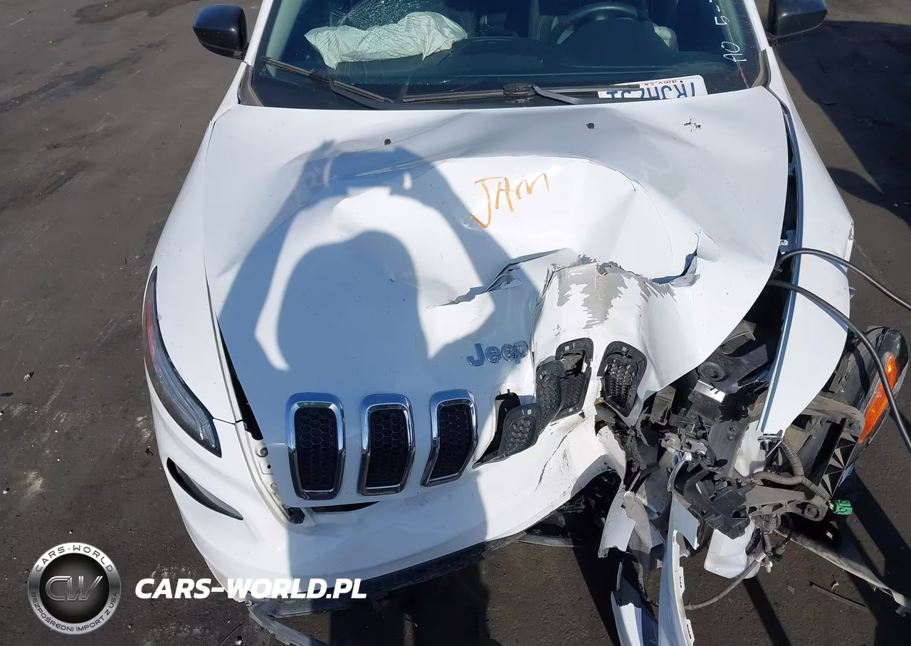 2016 Jeep Cherokee Sport VIN:1C4PJLAB7GW158789 - 10