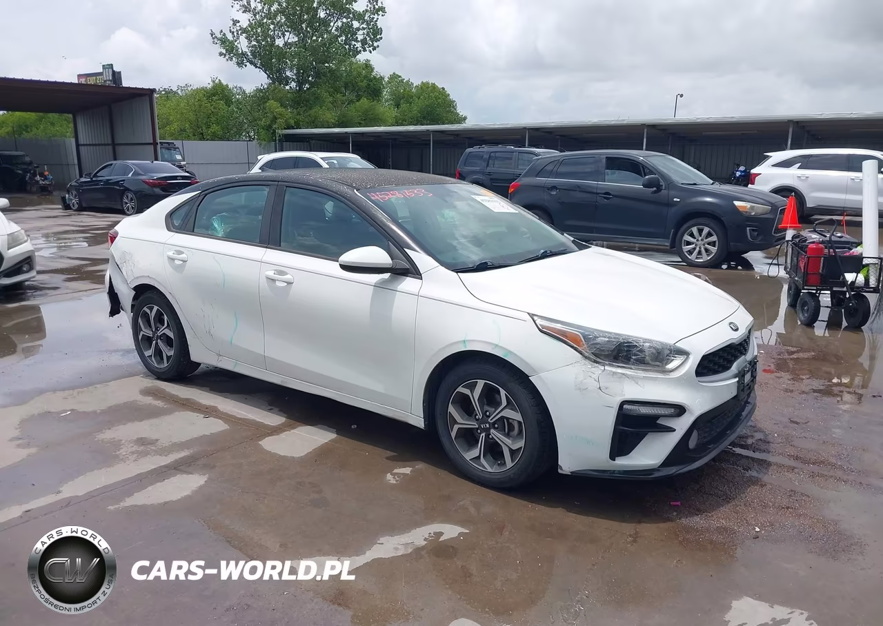2019 Kia Forte Lxs