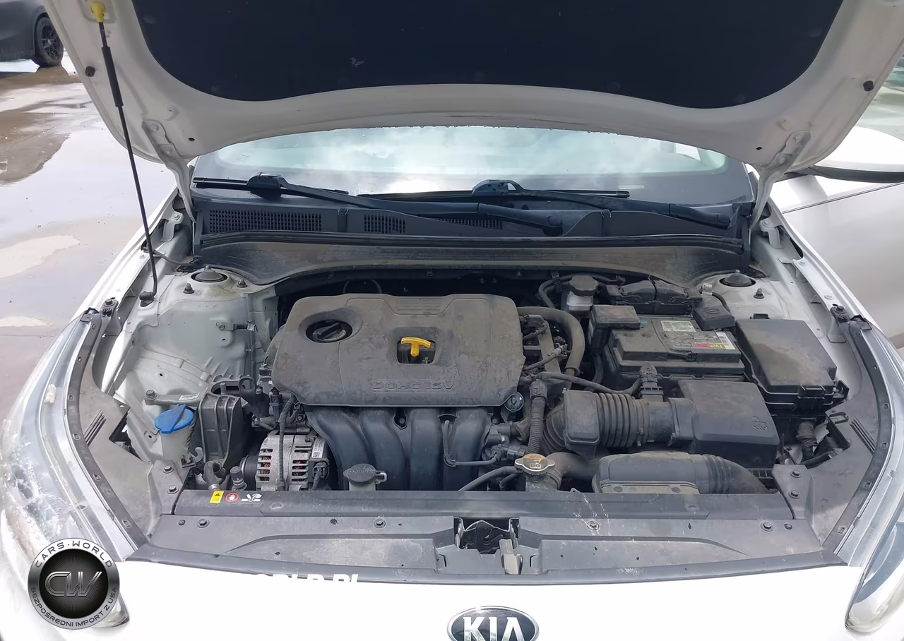 2019 Kia Forte Lxs VIN:3KPF24AD4KE055817 - 10