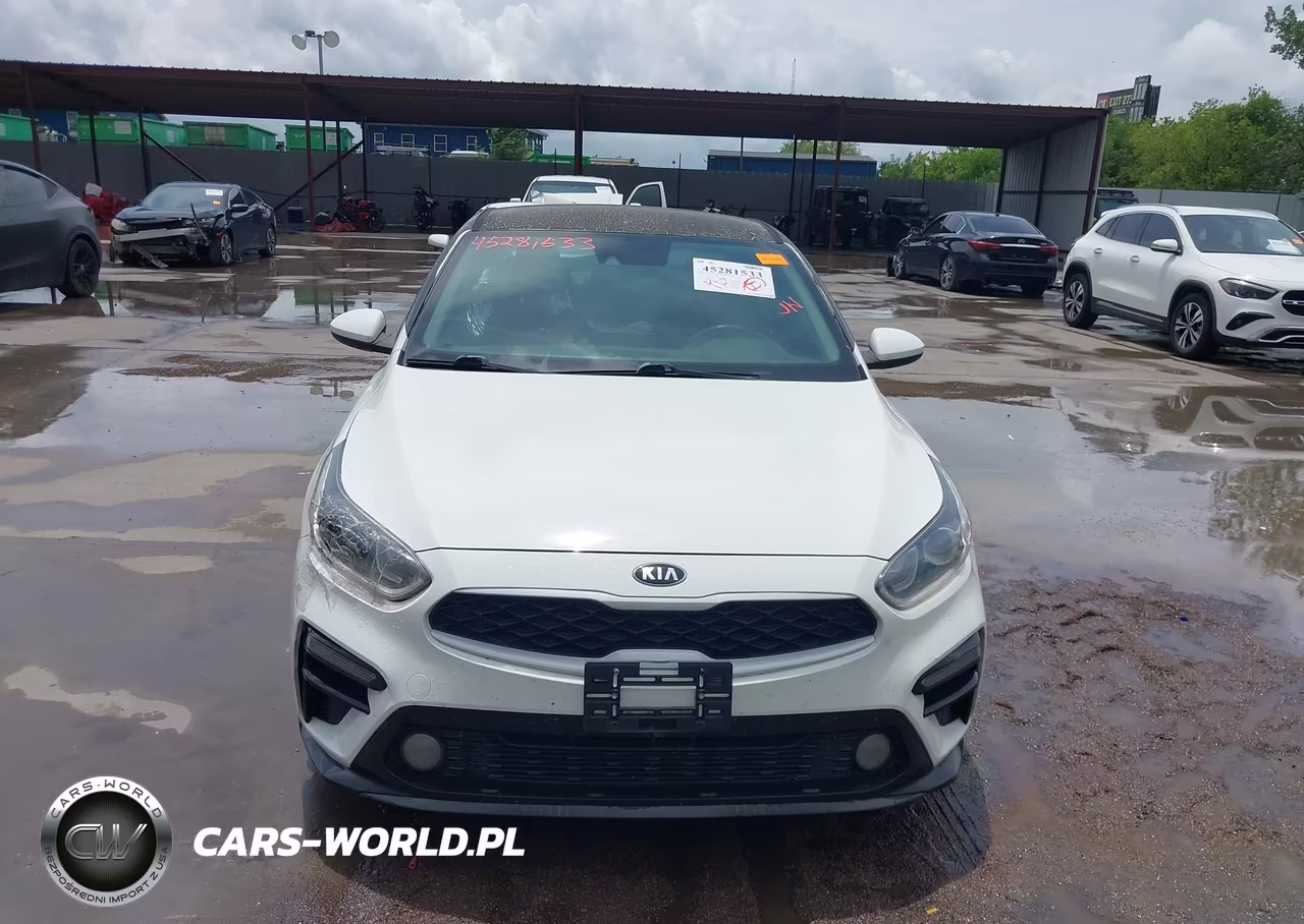 2019 Kia Forte Lxs VIN:3KPF24AD4KE055817 - 12