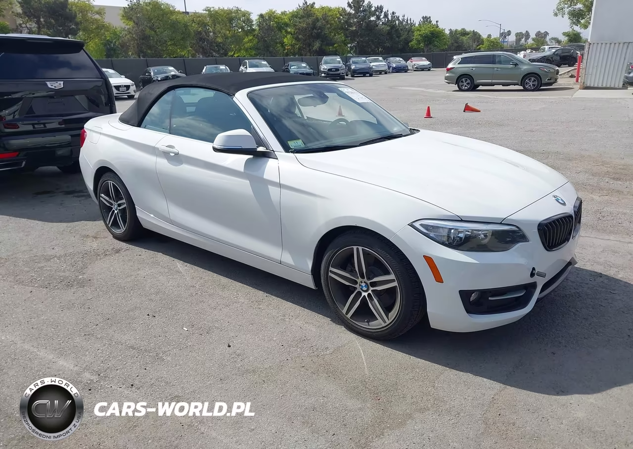 2017 BMW 230I