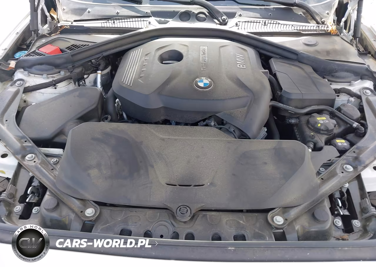 2017 BMW 230I VIN:WBA2K9C32H7A26535 - 10