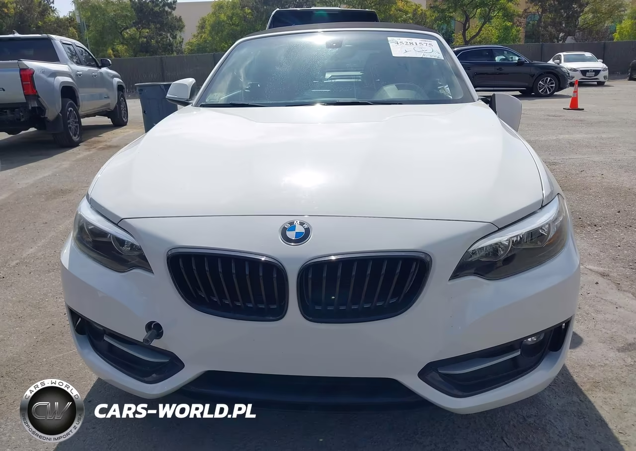2017 BMW 230I VIN:WBA2K9C32H7A26535 - 12