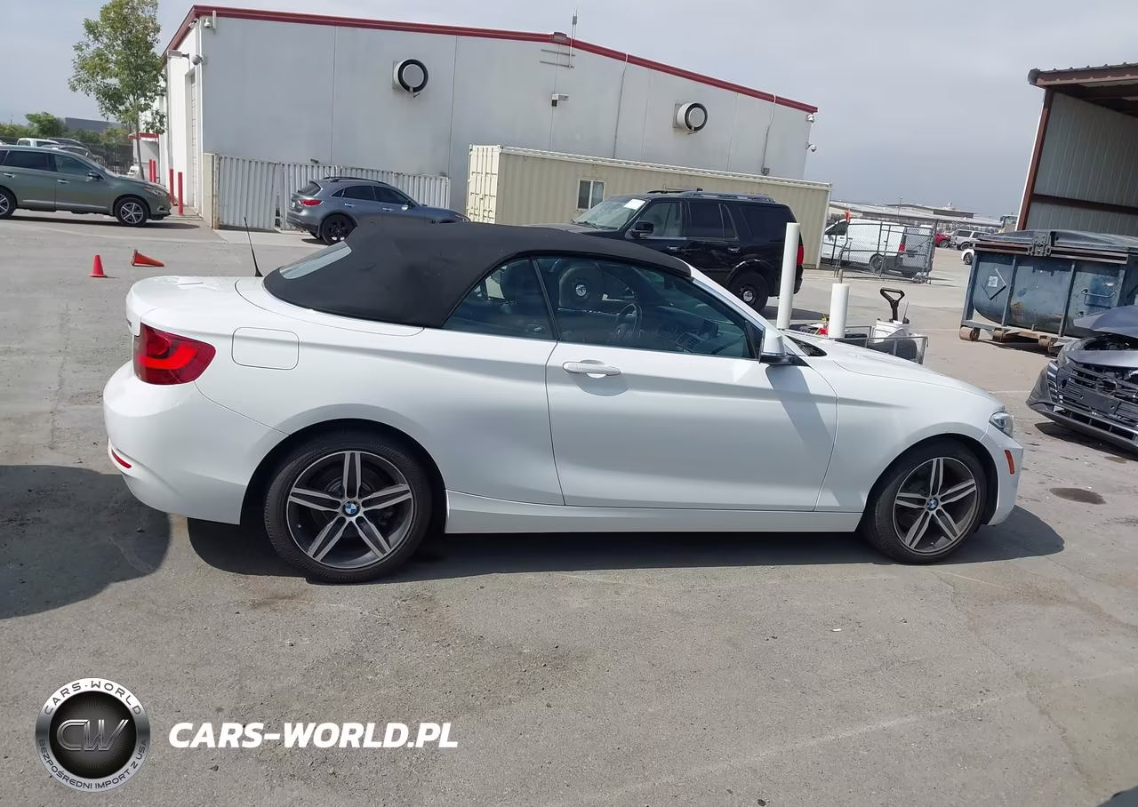2017 BMW 230I VIN:WBA2K9C32H7A26535 - 13