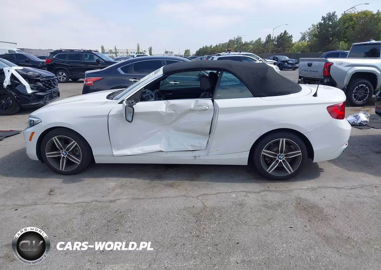 2017 BMW 230I VIN:WBA2K9C32H7A26535 - 14