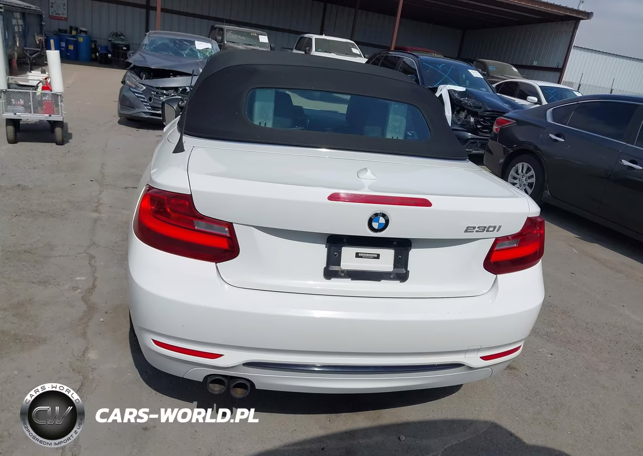 2017 BMW 230I VIN:WBA2K9C32H7A26535 - 16