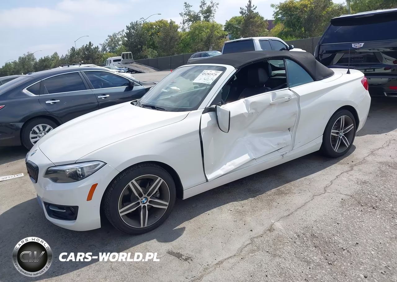 2017 BMW 230I VIN:WBA2K9C32H7A26535 - 2
