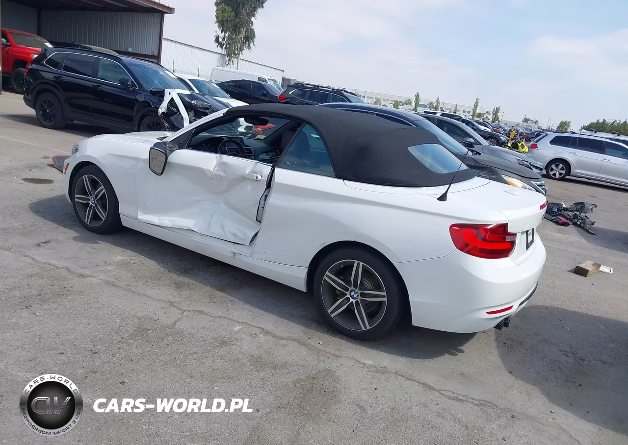 2017 BMW 230I VIN:WBA2K9C32H7A26535 - 3