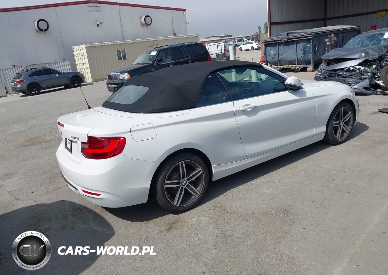 2017 BMW 230I VIN:WBA2K9C32H7A26535 - 4