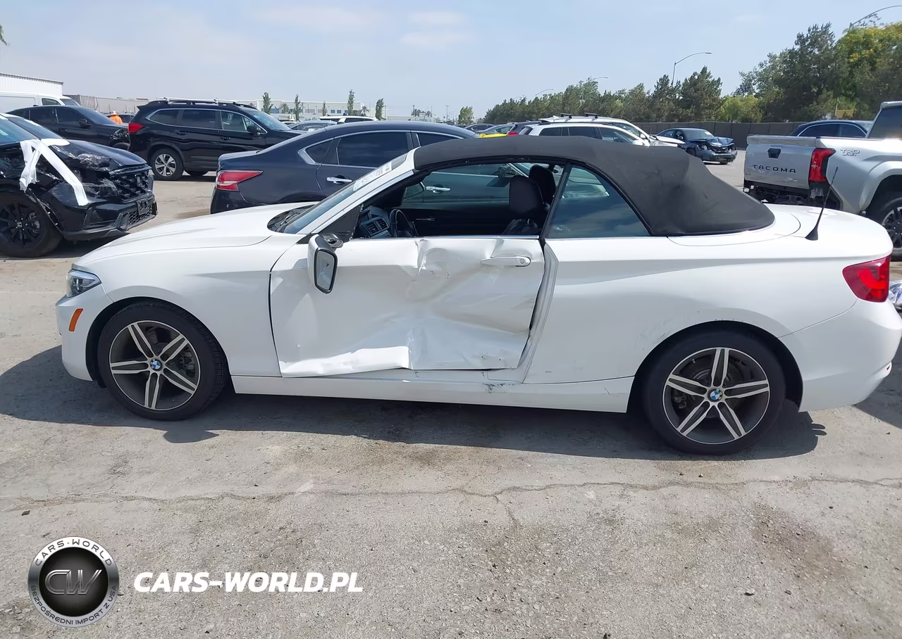 2017 BMW 230I VIN:WBA2K9C32H7A26535 - 6