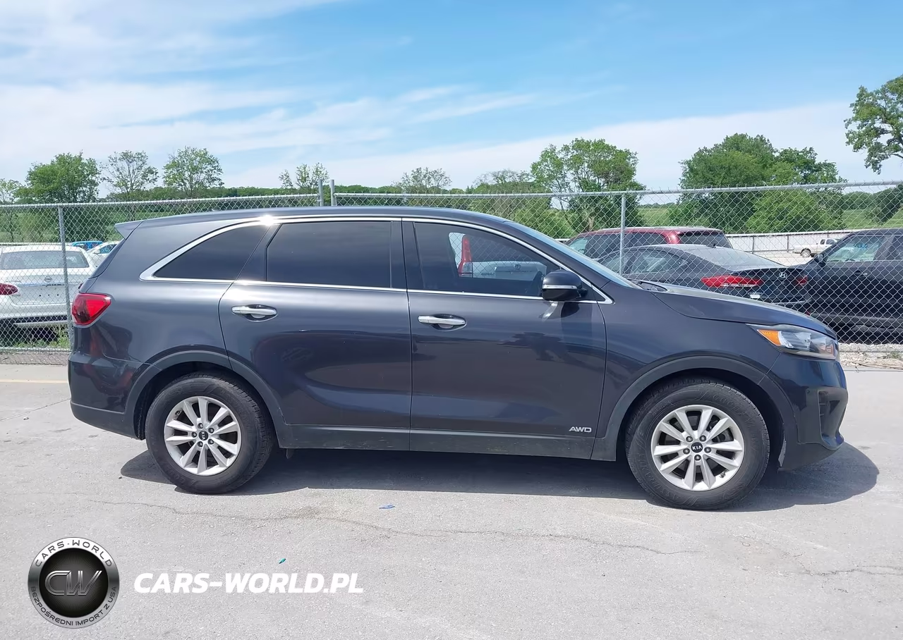 2019 Kia Sorento 3.3L Lx VIN:5XYPGDA57KG553219 - 13