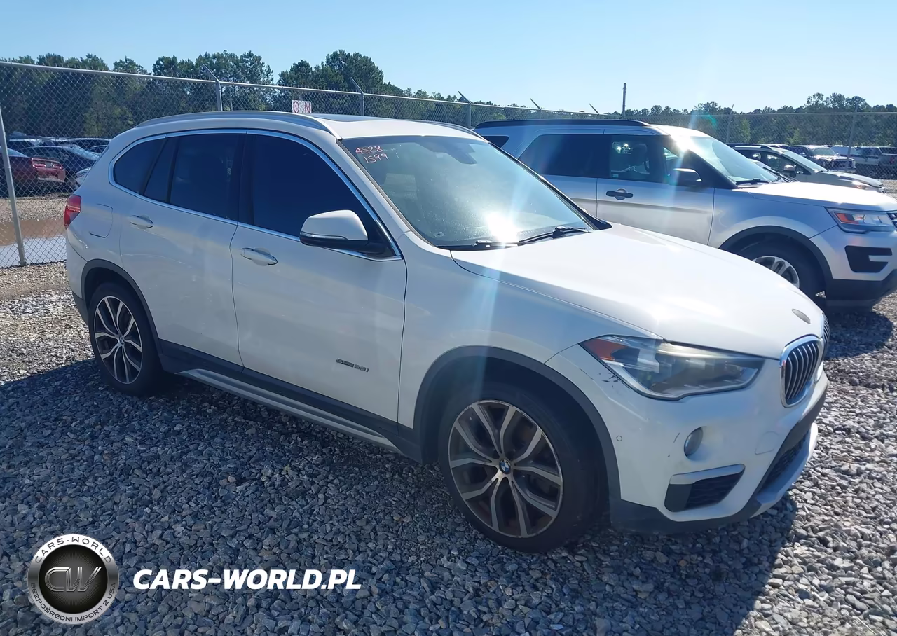 2017 BMW X1 Sdrive28I – zdjęcie 1 z 16