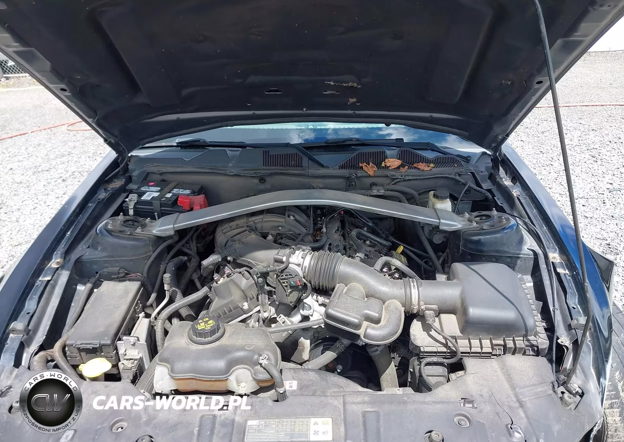 2014 Ford Mustang V6 Premium VIN:1ZVBP8EM1E5265144 - 10