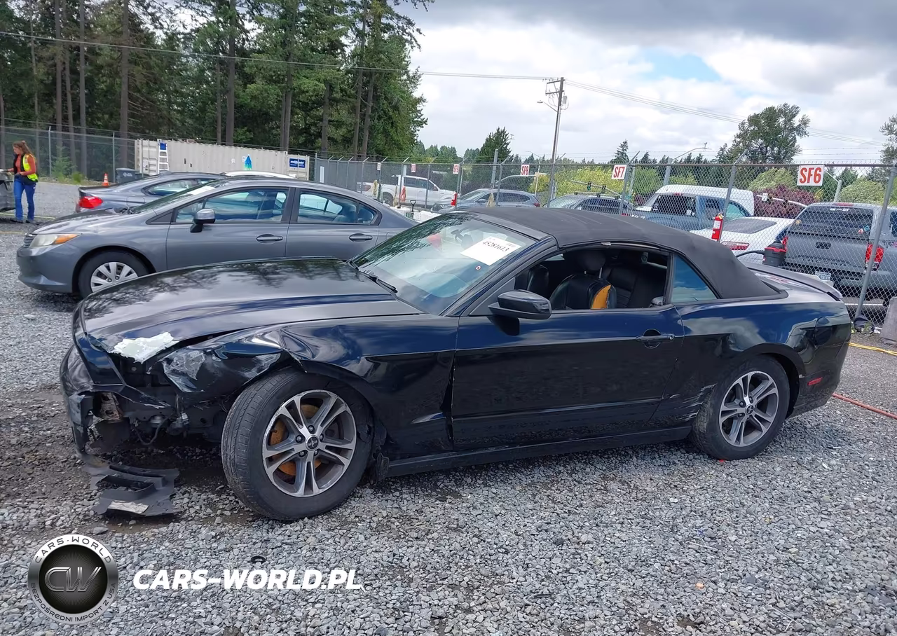 2014 Ford Mustang V6 Premium VIN:1ZVBP8EM1E5265144 - 15