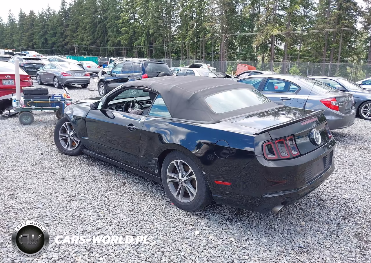 2014 Ford Mustang V6 Premium VIN:1ZVBP8EM1E5265144 - 3