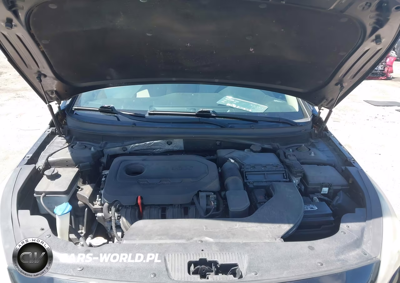 2015 Hyundai Sonata Se VIN:5NPE24AF4FH223941 - 10