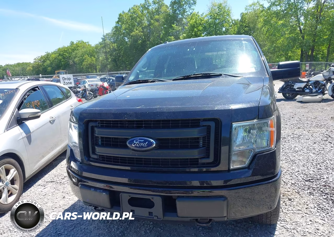 2013 Ford F-150 Stx VIN:1FTEX1EMXDKE95630 - 12