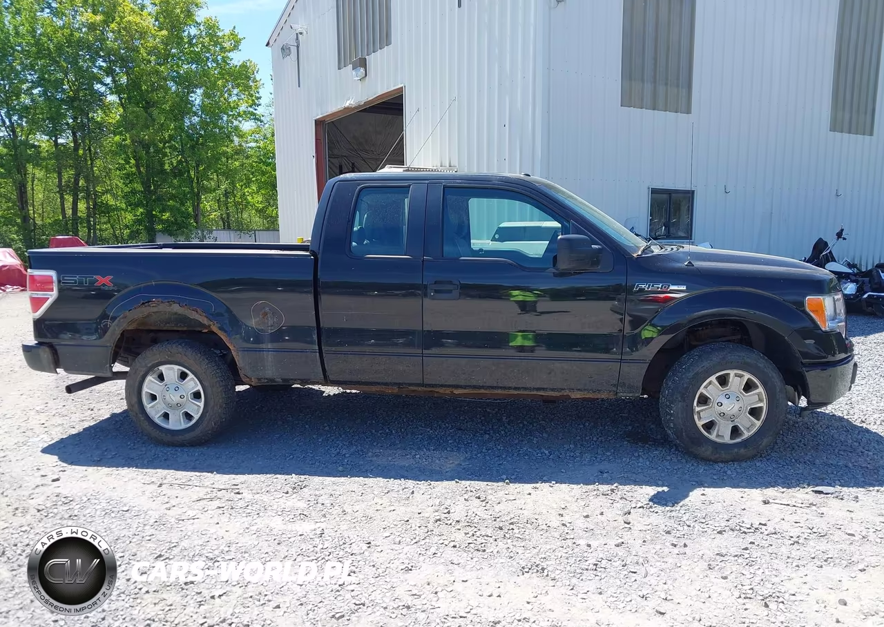 2013 Ford F-150 Stx VIN:1FTEX1EMXDKE95630 - 13