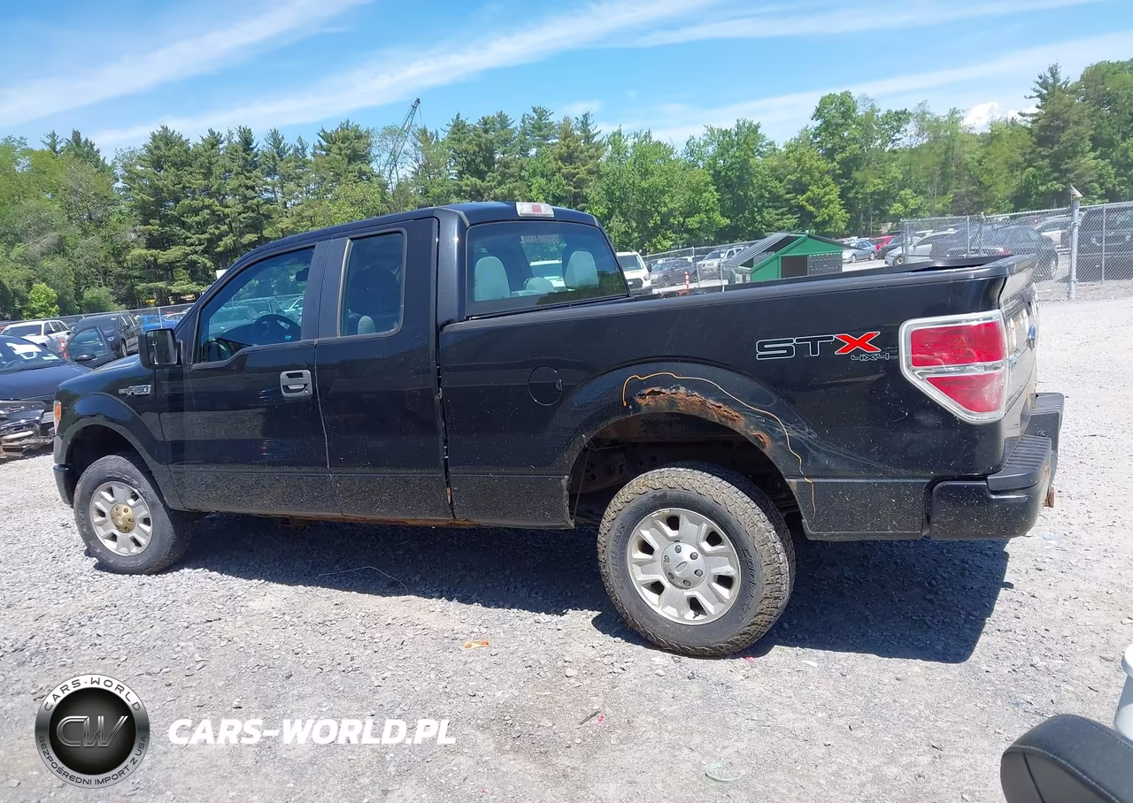 2013 Ford F-150 Stx VIN:1FTEX1EMXDKE95630 - 14