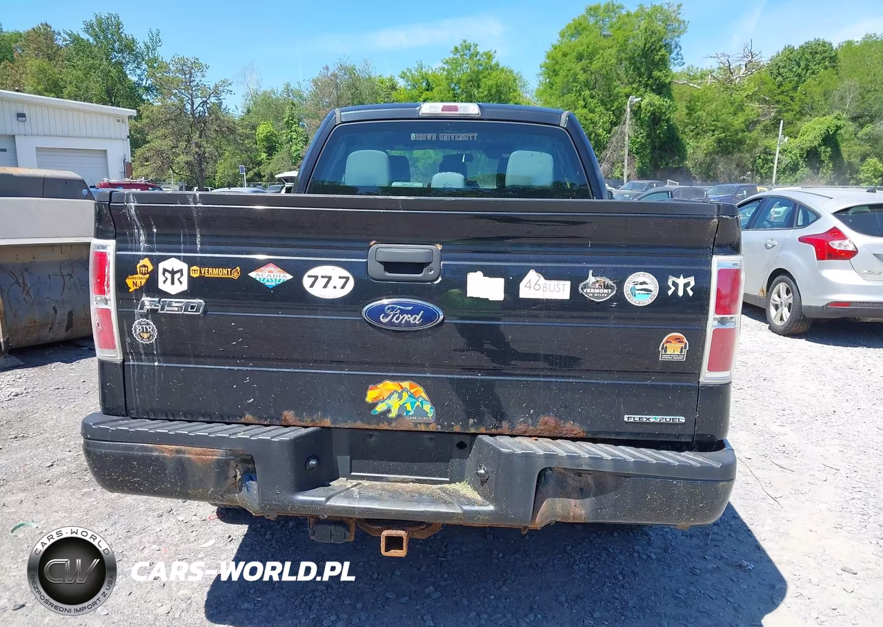 2013 Ford F-150 Stx VIN:1FTEX1EMXDKE95630 - 16
