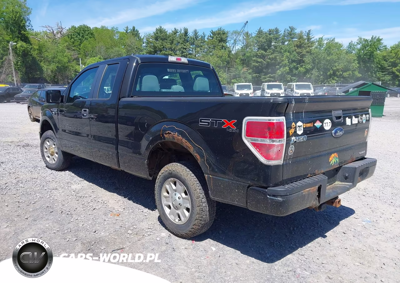 2013 Ford F-150 Stx VIN:1FTEX1EMXDKE95630 - 3